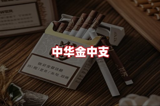 中华金中支